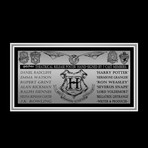 Harry Potter // Cast Hand-Signed Poster // Custom Frame
