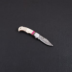 Pocket Folding Lock Back Knife // 2378