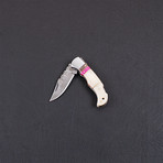 Pocket Folding Lock Back Knife // 2378