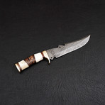 Damascus Bowie Knife // BK0276