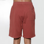 Boyce Shorts // Burnt Orange (S)