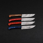 Damascus Steak Knife Set // 4 Pieces