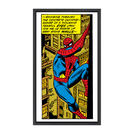 Spider-Man I (14"W x 24"H x 2"D)