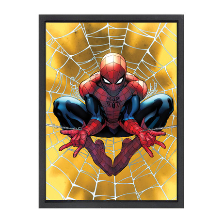 Spider-Man III (16"W x 20"H x 2"D)
