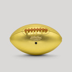 Pro Series // Golden Goose Football