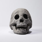 Hollow Human Skull