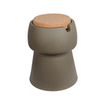 Champ Stool + Cooler (Green + Oak)