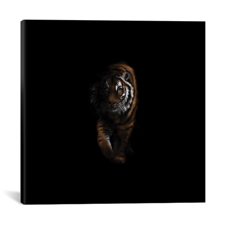 Shadows Tiger // Helen Clark (18"W x 18"H x 0.75"D)
