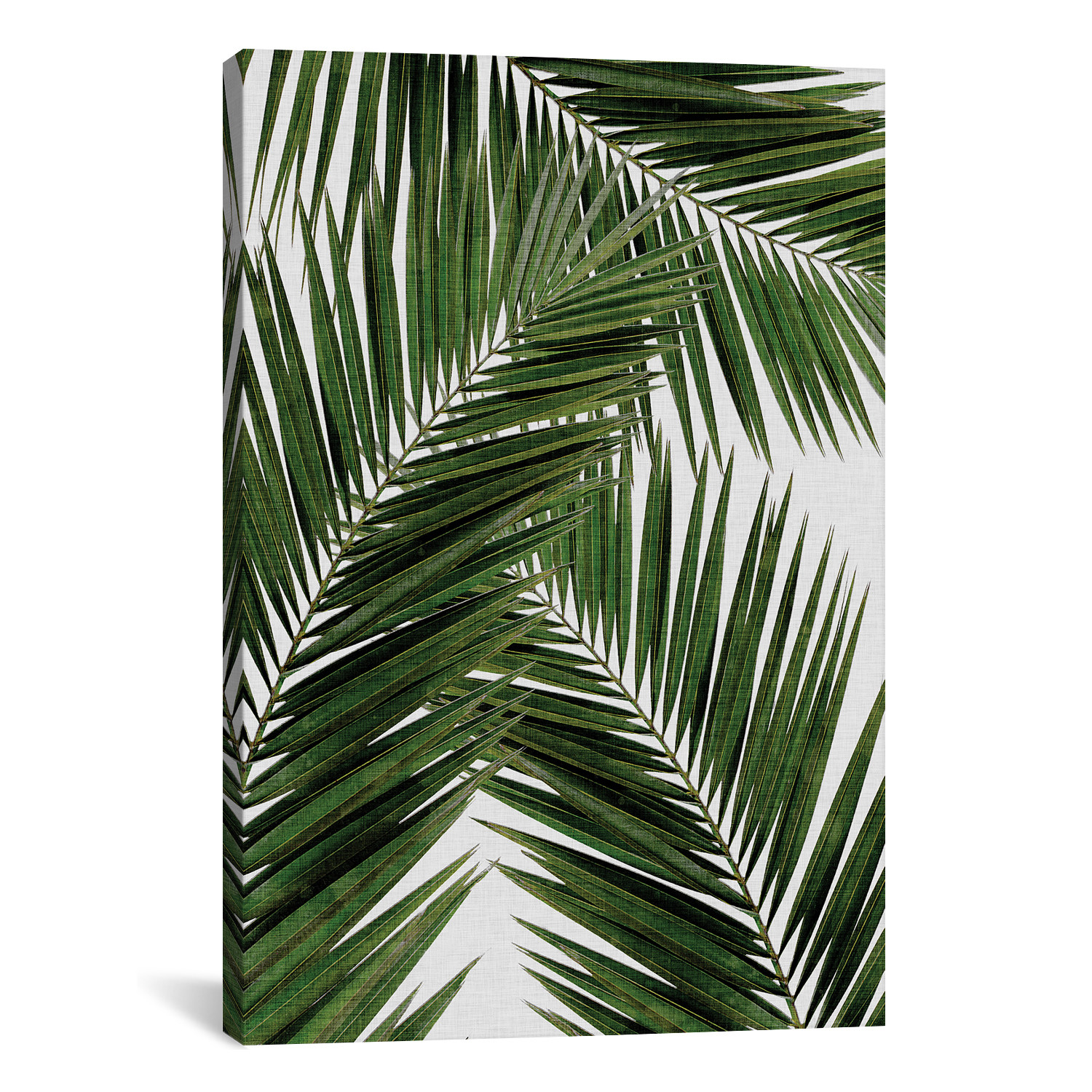 Palm Leaf III // Orara Studio (18