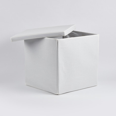 BZbox Foldable Storage // White // Set of 2