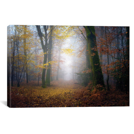Autumn Walk In The Forest (26"W x 18"H x 0.75"D)
