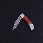 Pocket Folding Lock Back Knife // 2315