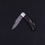 Pocket Folding Lock Back Knife // 2344
