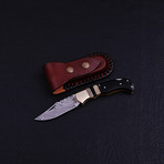 Pocket Folding Lock Back Knife // 2384