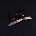 Pocket Folding Lock Back Knife // 2389
