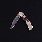 Pocket Folding Lock Back Knife // 2389