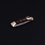 Pocket Folding Lock Back Knife // 2395