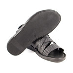 Pagliarelli // Grey (US: 7)