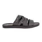 Pagliarelli // Grey (US: 7)