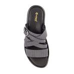 Pagliarelli // Grey (US: 7)