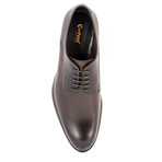 Capaci // Brown (US: 8)