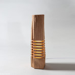 Reclaimed Wood Light Sculpture // USB + AC