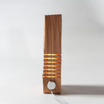 Reclaimed Wood Light Sculpture // USB + AC