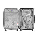 Taurus Large-Size Hardcase // 29" (Gray)