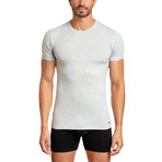 Crew Neck T Shirt // Pack of 3 // White + Gray + Light Gray (L)