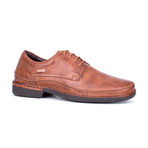 Oviedo Lace Up 08F // Cuero (Euro: 39)