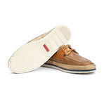 Linares M2G // Castor + Brandy (Euro: 41)