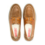 Linares M2G // Castor + Brandy (Euro: 41)