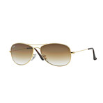 Cockpit Sunglasses // Gold + Brown Gradient