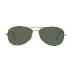 Men's Cockpit Sunglasses // Gold + Green