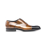 Totò Oxford Toecap // Polished Bronze (Euro: 40)