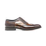 Fred Wingtip Oxford // Brown (Euro: 47)