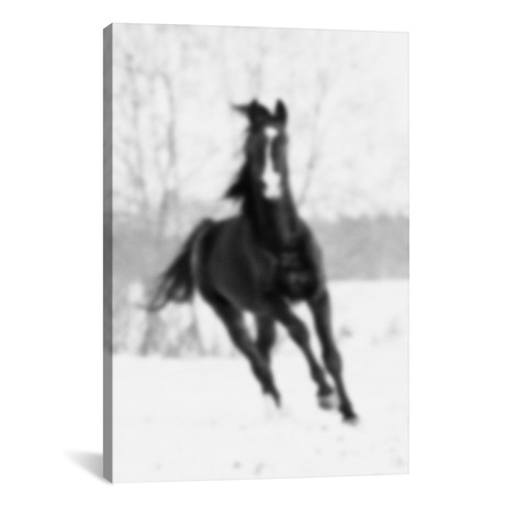 Blurred Cheval // 5by5collective (18"W x 26"H x 0.75"D)