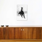 Blurred Cheval // 5by5collective (18"W x 26"H x 0.75"D)