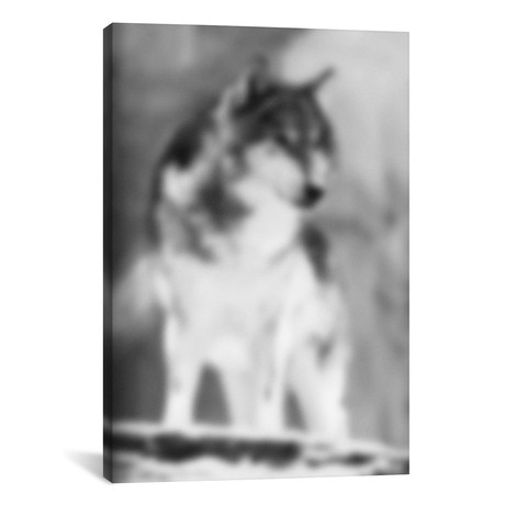 Blurred Loup // 5by5collective (18"W x 26"H x 0.75"D)