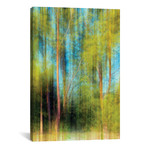 Tree Blur II // Skip Nall (18"W x 26"H x 0.75"D)