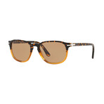 Classic 3019 Sunglasses // Tortoise Caramel + Brown