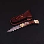 Pocket Folding Lock Back Knife // 2403