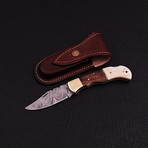 Pocket Folding Lock Back Knife // 2404