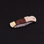 Pocket Folding Lock Back Knife // 2404