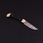 Pocket Folding Lock Back Knife // 2405