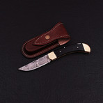 Pocket Folding Lock Back Knife // 2405