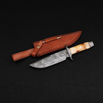 Damascus Bowie Knife // BK0279