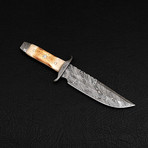 Damascus Bowie Knife // BK0279