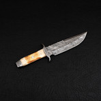 Damascus Bowie Knife // BK0279