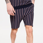 Vertical Stripe Jogger Shorts // Blue Ink (L)